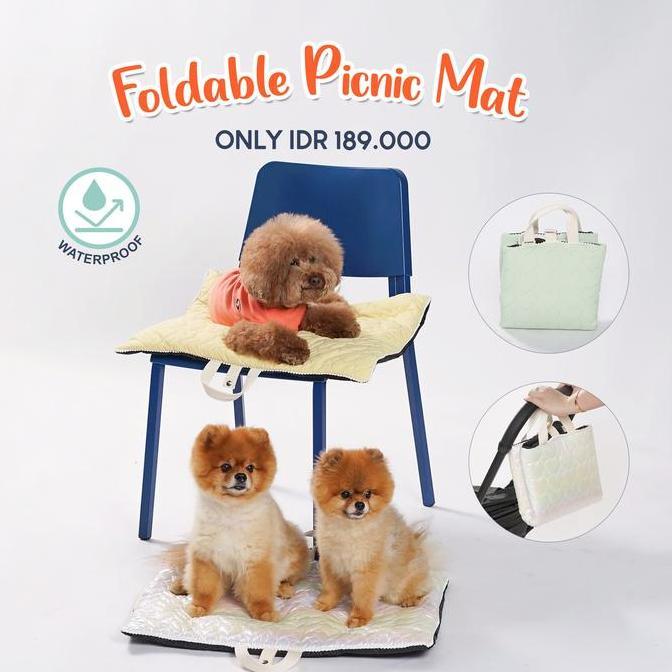 Pawlovin - Foldable Picnic Mat