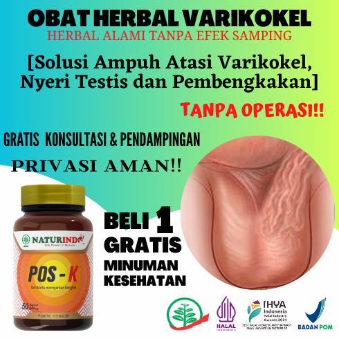 (Terbaru) Obat Varikokel Paling Ampuh Bengkak Benjolan di Buah Zakar Nyeri Testis di Buah Zakar Pela