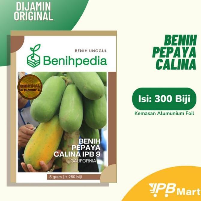 Benih Pepaya Callina IPB California