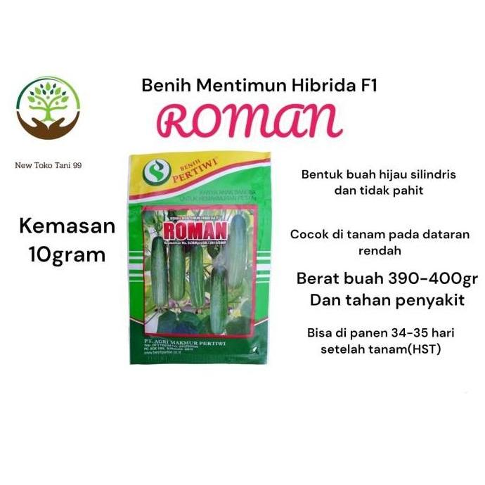 Benih bibit Timun hibrida ROMAN F1 10gram produksi pertiwi