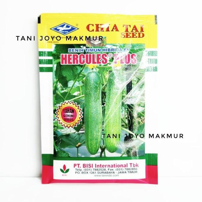 Benih Timun Hibrida Hercules Plus (20 gr)