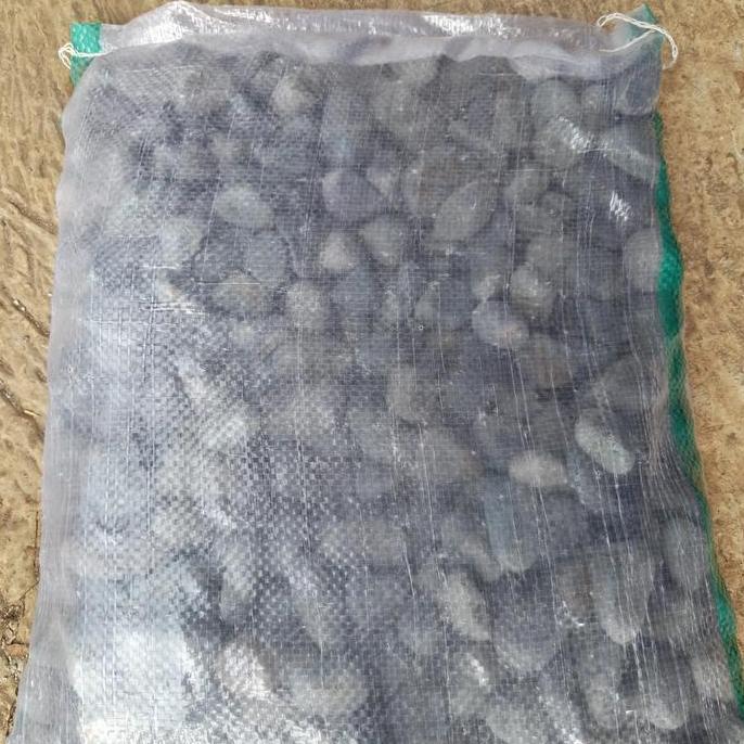 Batu koral hitam 10kg // Batu hiasan taman koral bengkulu