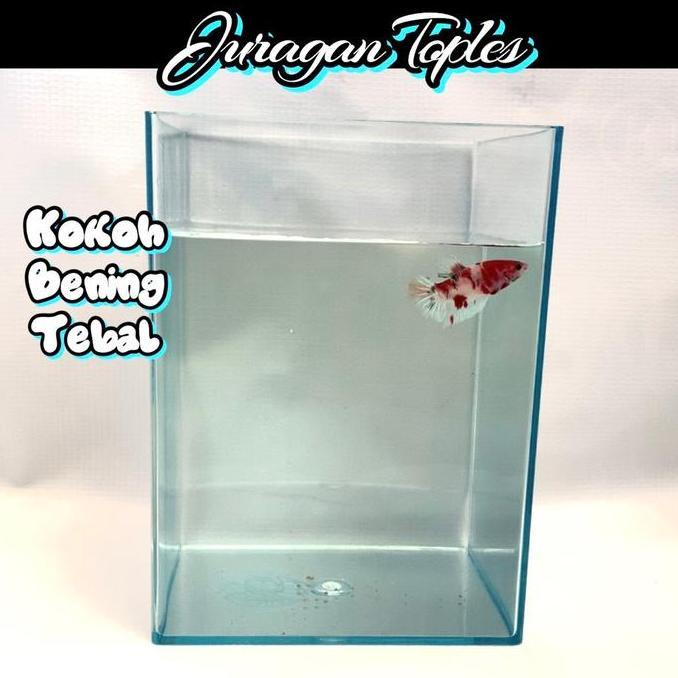 1 Lusin [ 12 Toples ] Soliter Juragan Toples 4 Liter Penyimpanan Terlaris