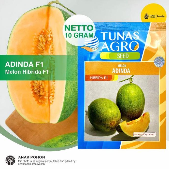 (1 PACK) Benih Melon ADINDA Hibrida F1 Renyah Manis Esklusif