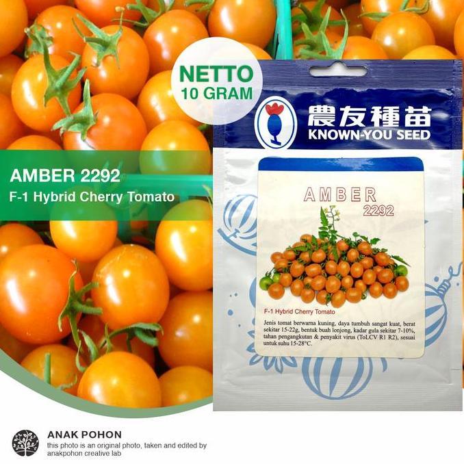 (1 PACK) Benih Tomat Mini Amber 2292 F1 Hybrid Tomato Seeds - 10 GRAM