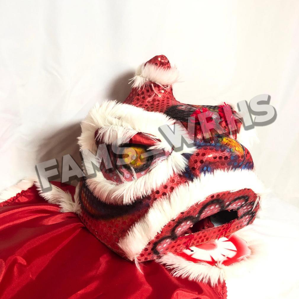 Barongsai Anak Dewasa Bahan Karton Tebal Kokoh Barongsai Kedip Fm -09