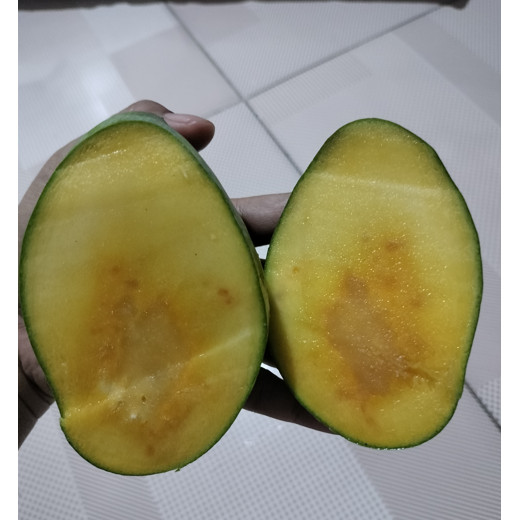 Mangga madu 1kg isi 3-4