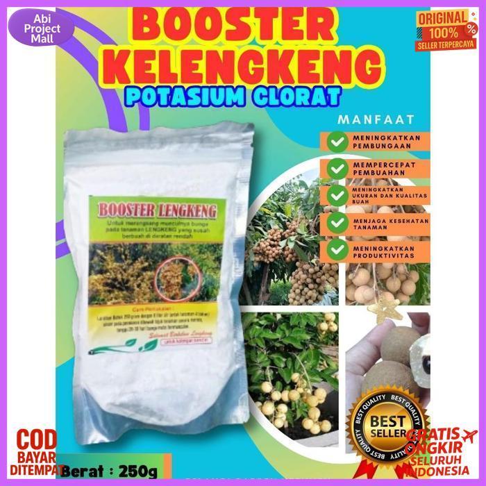 Anti Layu ! Boster Kelengkeng Kclo 3 Murni, Boster Kelengkeng Kclo 3, Boster Kelengkeng Kclo