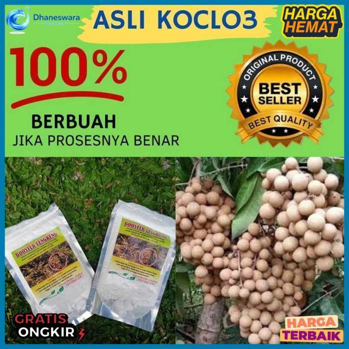 Jamin Asli.. Booster Kelengkeng Kclo3 Murni
