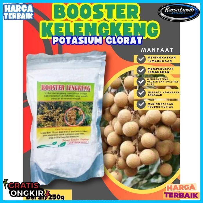 Kualitas Terbaik  Boster Kelengkeng Durian, Boster Kelengkeng Kcl03 Murni