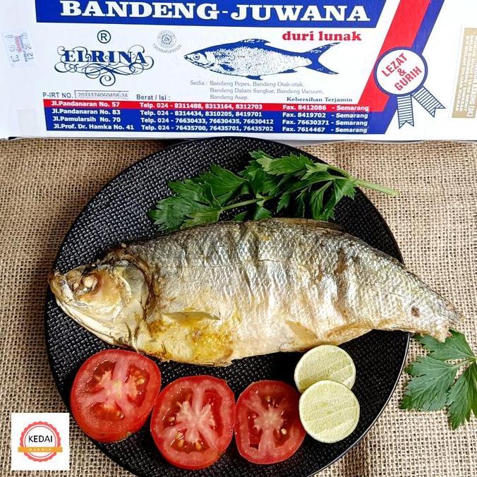 Bandeng Presto Juwana Elrina Vacum Basah Ukuran Sedang
