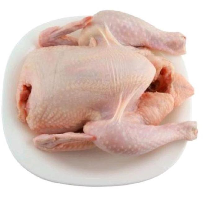 Ayam Karkas Broiler Ayam Potong Utuh 0.5-0.6 Kg Kode 147