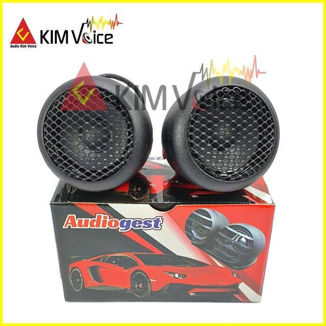 CLEARANCE SALE - Speaker Fullrange Audiogest 2 inch Fullrange Celavin Design