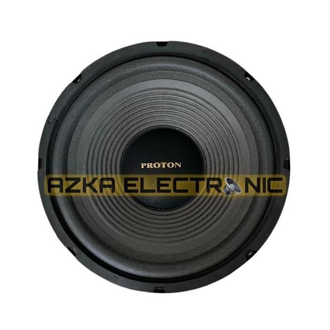 Speaker Proton 10 Inch Woofer 300 Watt