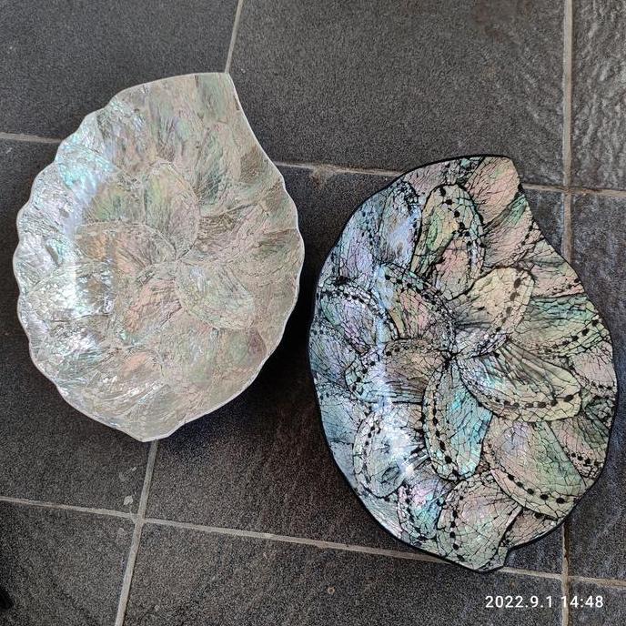 =====] shell plate abalone / piring kerang abalone SEBELAS