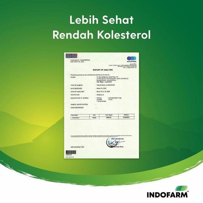 Telur Ayam Kampung Omega 20 Butir Indofarm LA