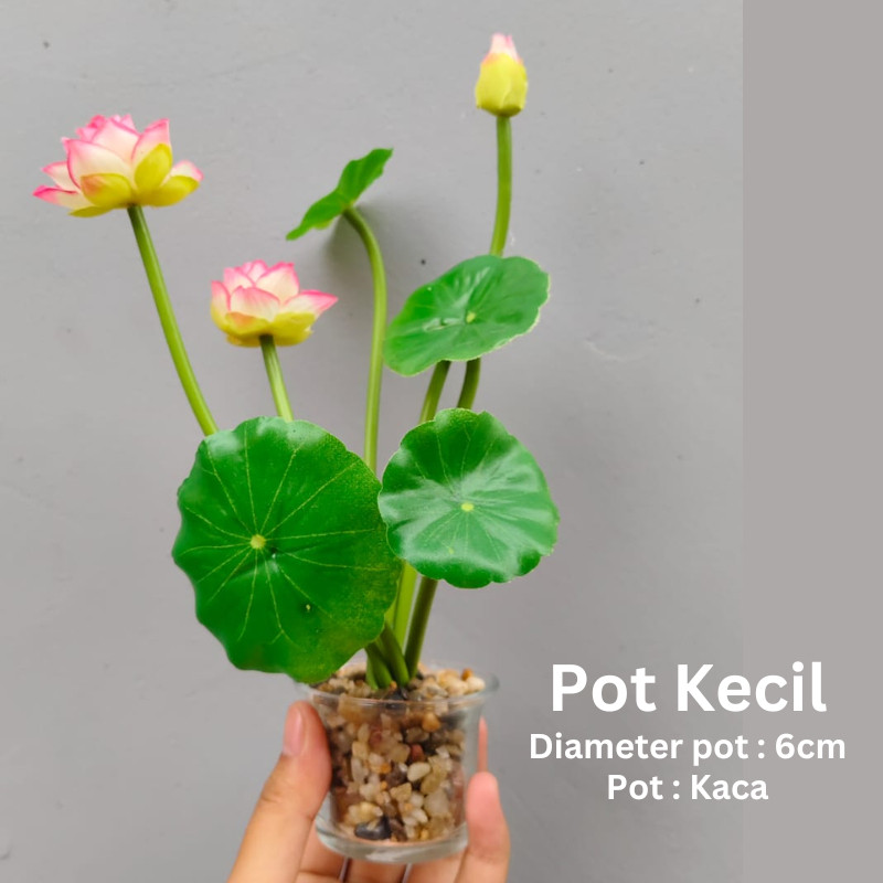 Ceilo Bunga Teratai Hias Artificial | Tanaman Hias Teratai | Bunga Artificial Estetik | Lotus Artifi