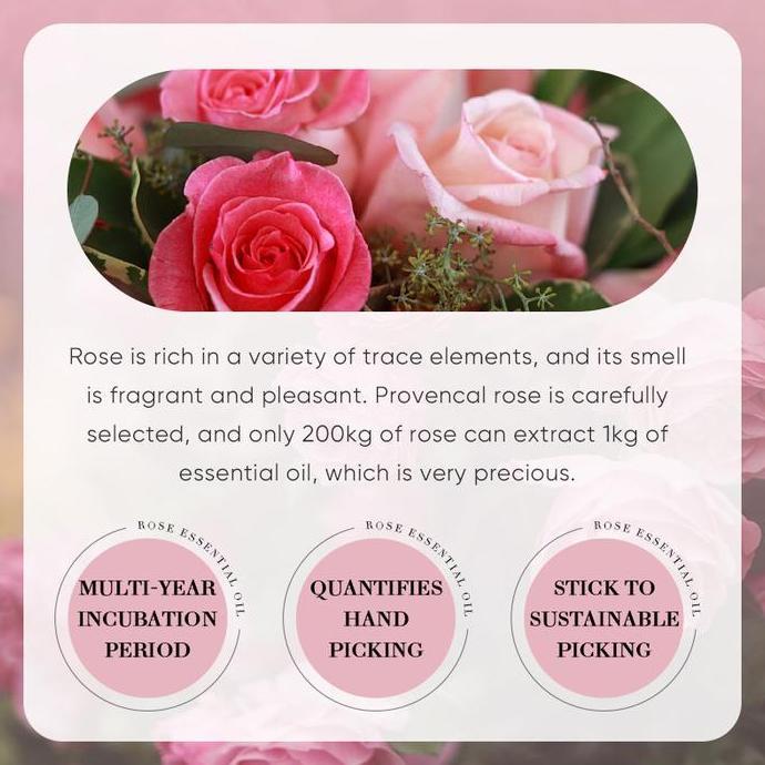 READY IMPORT 10ML NATURAL ROSE ESSENTIAL OIL RELAX BODY OIL MOISTURIZING FIRMING SKIN OIL IMPROVE SL