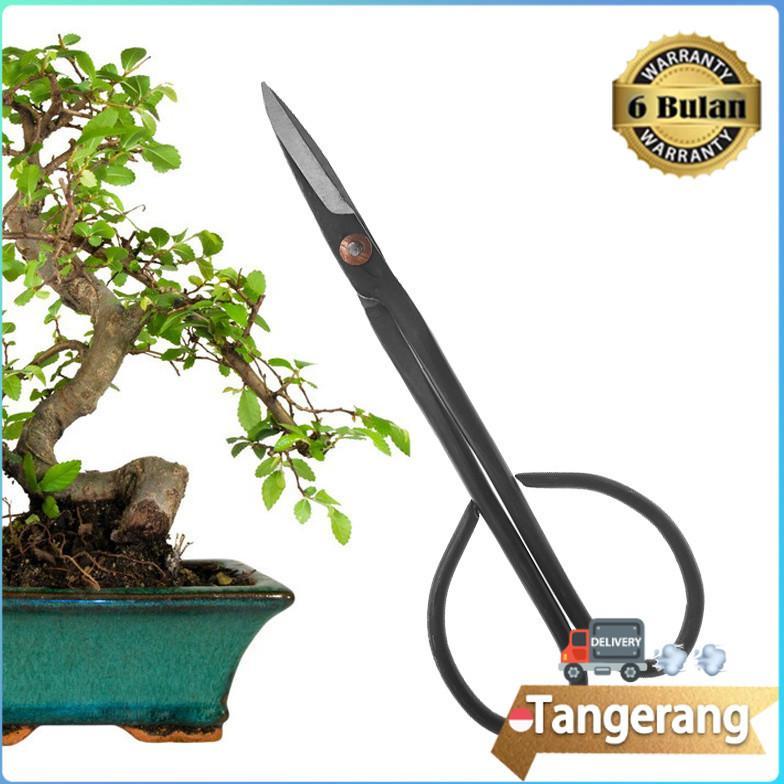 Gunting Pemangkas Tanaman Bonsai Bunga / Gunting Bonsai Prunning