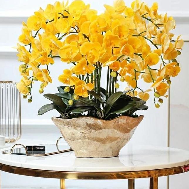 SUPER DEAL - Bunga Anggrek Artificial Latex Import Premium-Yellow- x9kelopak