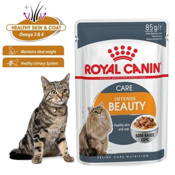 Ready Royal Canin Intense Beauty Gravy Pouch 85gr Wetfood Cat Adult