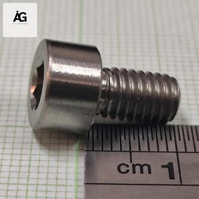 Baut Titanium M6x10 torque head asli titanium