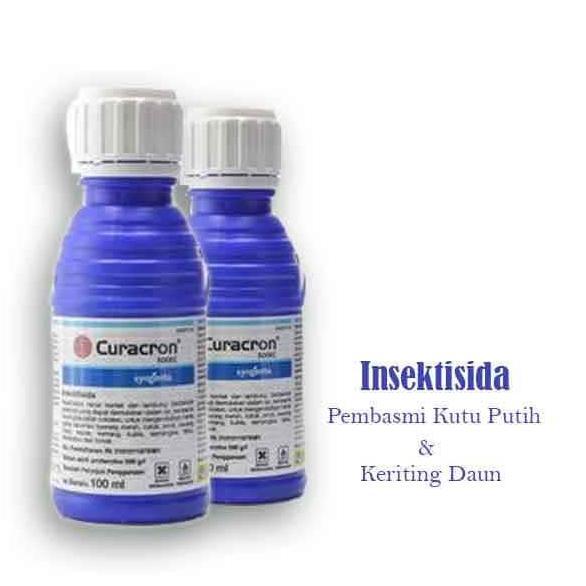 Ready Insektisida Curacron Pembasmi Hama Kutu Putih