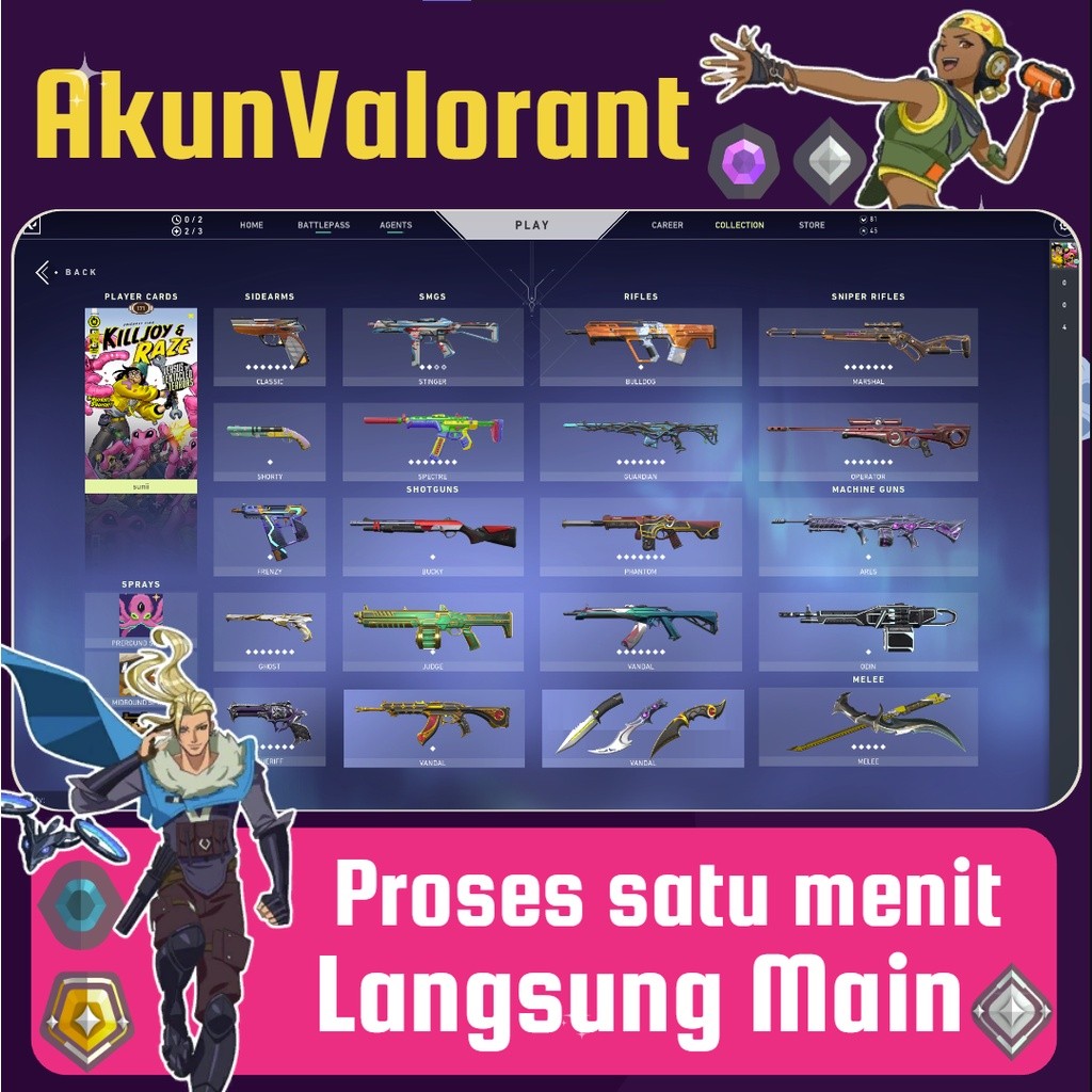 Akun Valorant Variasi A, Proses 1 menit langsung main - Legal Resmi Bergaransi Full Point VP Top Up 