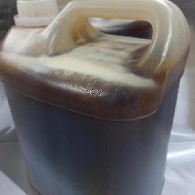 Madu Marai Hitam 7Kg Madu Yaman Madu