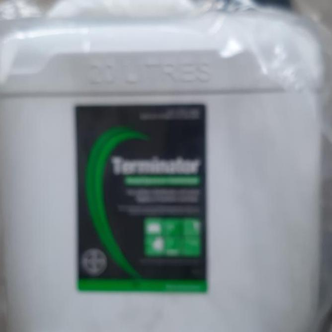 Terminator 1 Liter Repacking dari 20 Liter Disinfektan murah