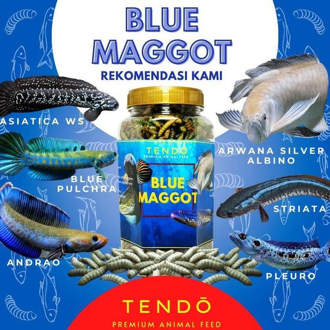 Skyfish- Pakan Makanan Ikan Channa Barca Auranti Pulchra Maggot Kering Tendo