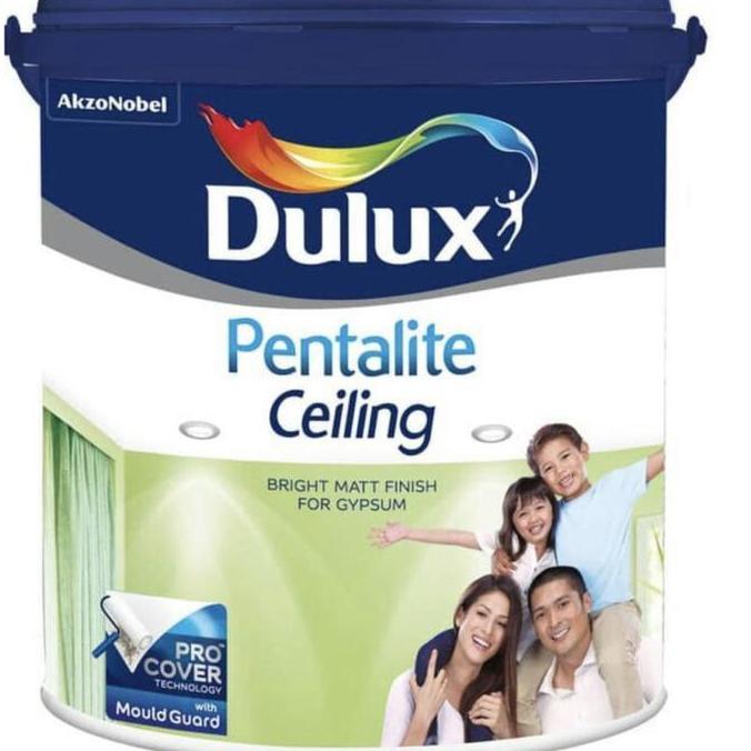 Dulux Pentalite Ceiling White Supermatt
