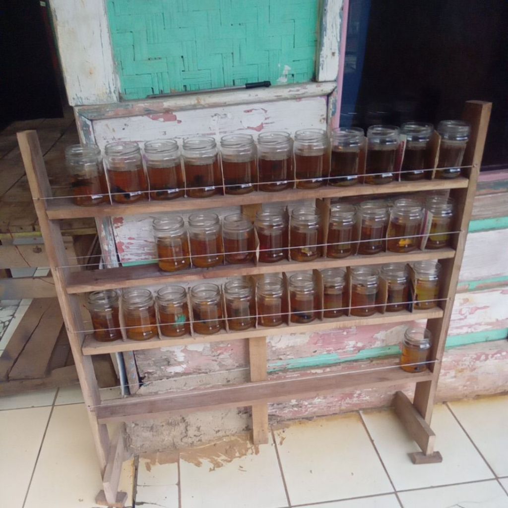 ikan cupang Adu & Hias