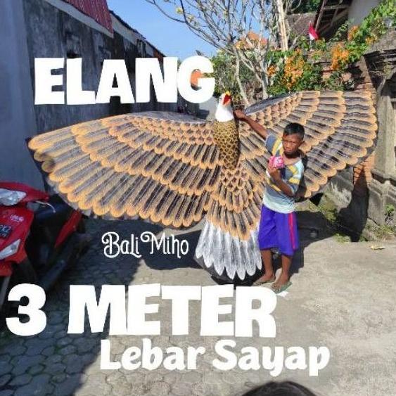 MJ042 LAYANGAN BURUNG KAIN LAYANGAN ELANG 3 METER LAYANGAN 3 DIMENSI