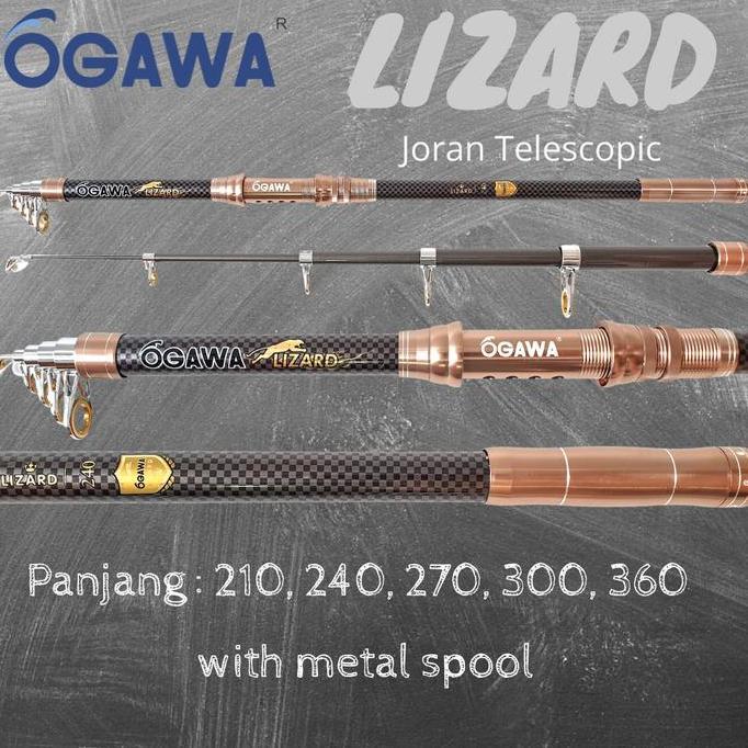 Joran Pasiran Ogawa Lizard
