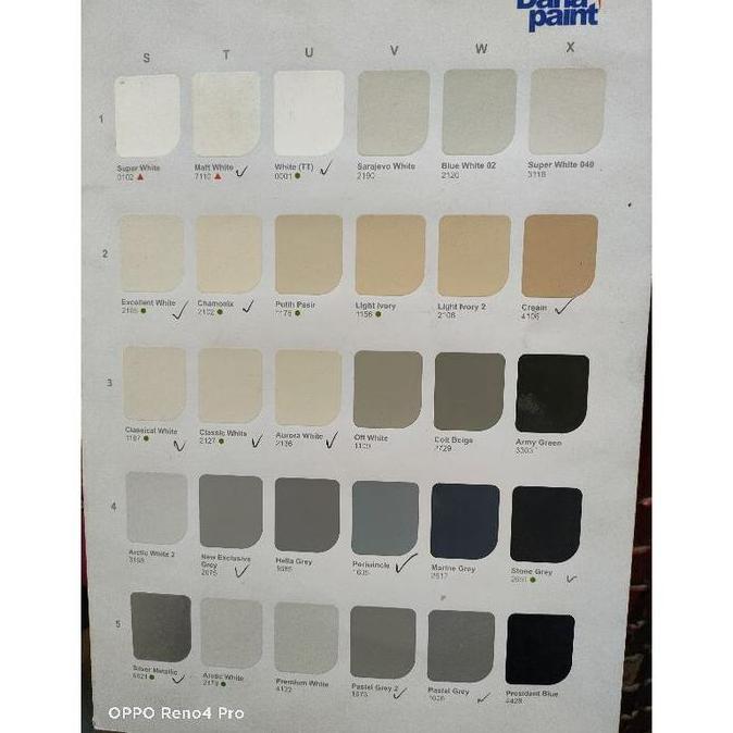 Top Color Danapaint 1 Kg