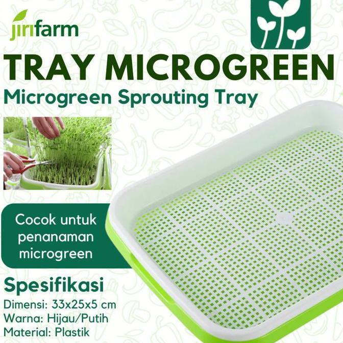Okwemereza- Jirifarm - Microgreen Sprouting Tray With Base - Tray Semai Microgreen Dengan Alas