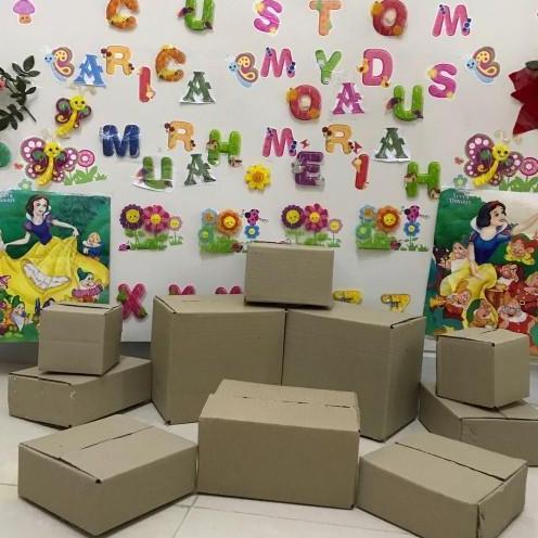 Kardus/Box paket dua ukuran