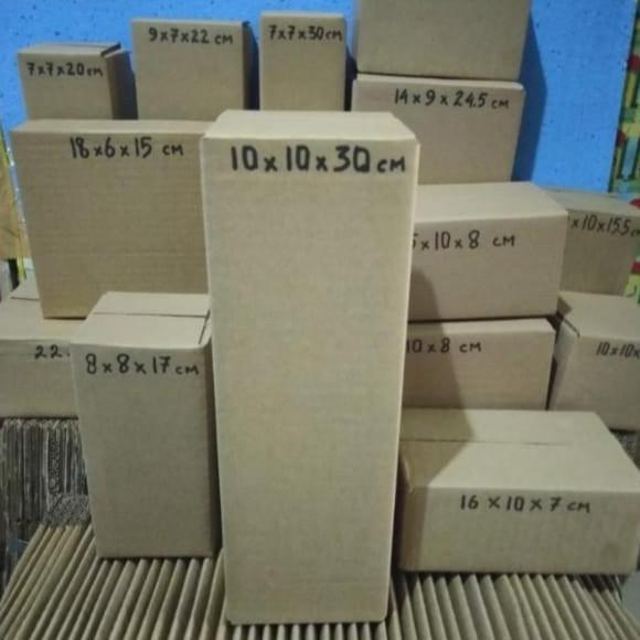 kardus packing 10 x 10 x 30