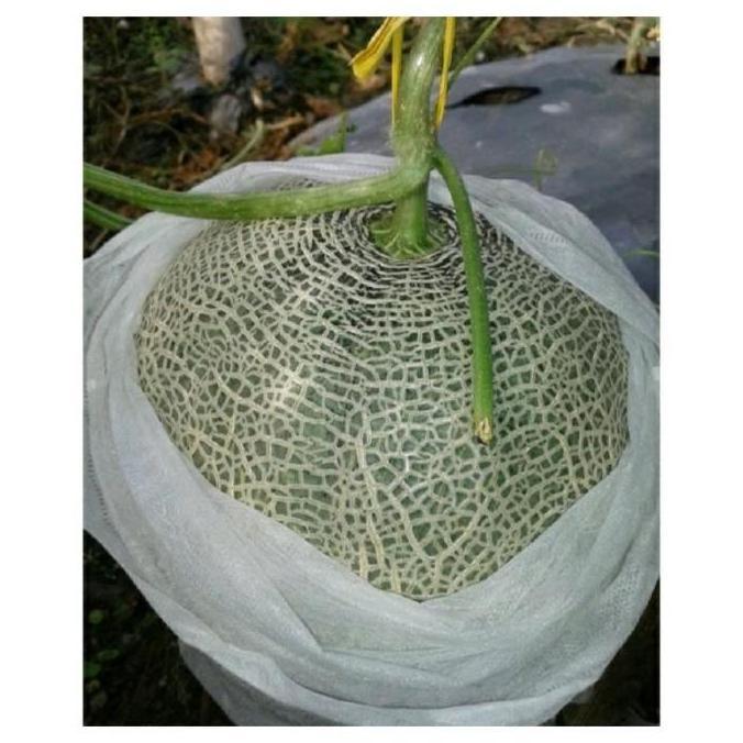 Heigrow Fruit Cover Pembungkus Buah Kain Penutup Tanaman Buah