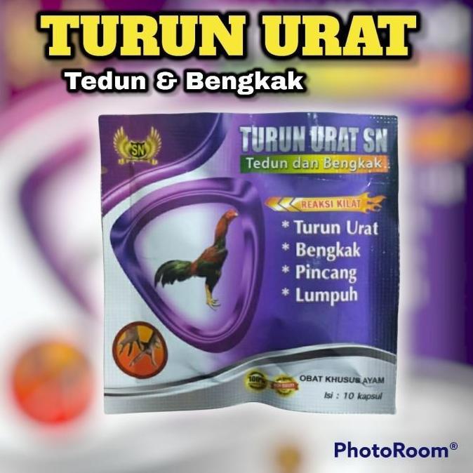 OBAT TURUN URAT SN TEDUN AYAM KAKI BENGKAK PINCANG LUMPUH