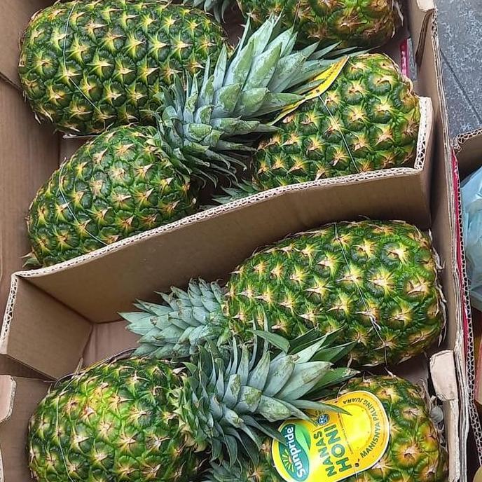 Fruting- Nanas | Nanas Sunpride | Nanas Hony | Nanas Madu