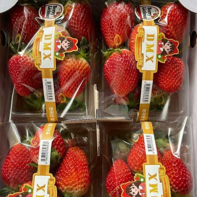 Fruting- Strawberry Korea | Strawbery Korea | Strawberry Korea Premium