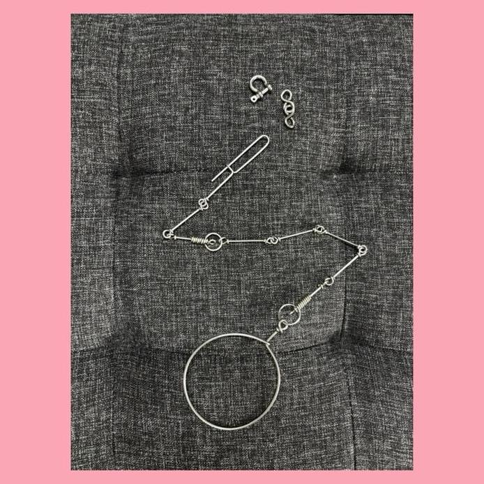 R06 Rantai Rante Burung Kakatua Afgrey Jambul Kuning Galah Severe