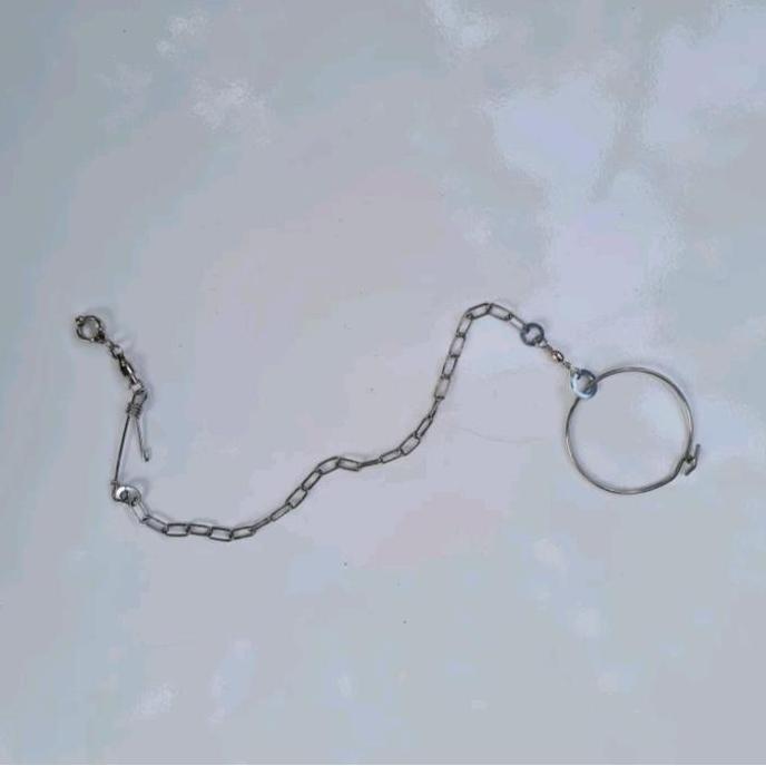 Rantai stainless kaki burung nuri kepala hitam