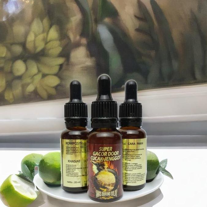 SUPER GACOR DOOR CUCAK JENGGOT PENGGACOR SEKETIKA