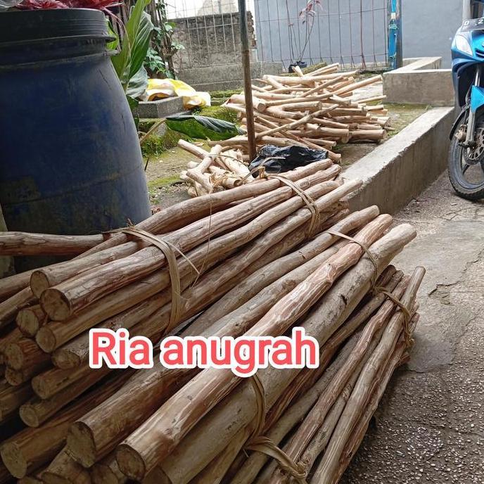 kayu kopi cabang/tangkringan kayu kopi/angkringan /tenggeran burung