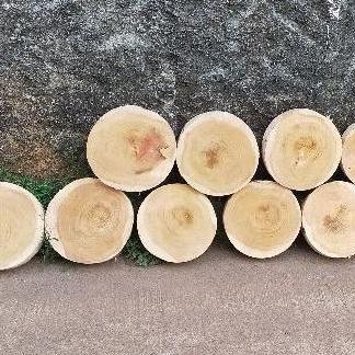 talenan daging kayu diameter 50cm - talenan kayu bulat - alat dapur -