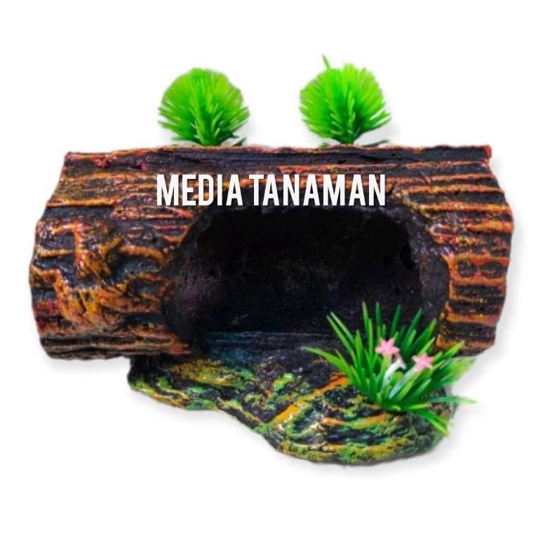 Hiasan Aquarium Rumah Ikan