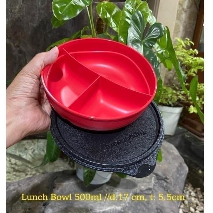 Taberu- Tupperware Tempat Makan Mpasi Anak Lunch Box